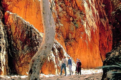 West MacDonnell Ranges Day Trip From Alice Springs - Palm Beach Accommodation 3