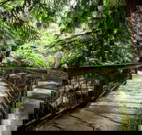 12 Apostles Eco-Friendly Great Ocean Road Iconic Adventure from Melbourne - Palm Beach Accommodation