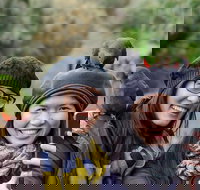 Small-Group Great Ocean Road and 12 Apostles Full-Day Tour from Melbourne - Palm Beach Accommodation