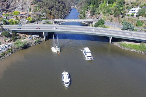 2.50 Hour Afternoon Discovery Cruise Including Cataract Gorge Departing At 3 Pm - Palm Beach Accommodation 1