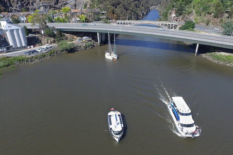 2.50 Hour Afternoon Discovery Cruise Including Cataract Gorge Departing At 3 Pm - Palm Beach Accommodation 3