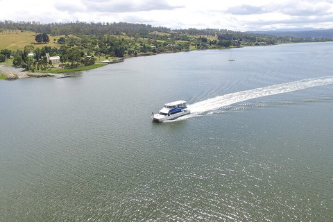 2.50 Hour Afternoon Discovery Cruise Including Cataract Gorge Departing At 3 Pm - Palm Beach Accommodation 4