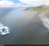 2.5 hour Afternoon Discovery Cruise including Cataract Gorge departs at 1 30 pm - Palm Beach Accommodation