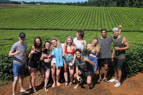 Atherton Tablelands Waterfalls Tour From Cairns - Palm Beach Accommodation 1