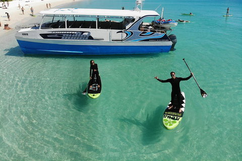 Whitsunday Bullet Day Trip - Whitehaven Beach And Snorkelling - Palm Beach Accommodation 4