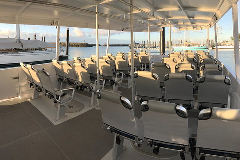 Whitsunday Bullet Day Trip - Whitehaven Beach And Snorkelling - Palm Beach Accommodation 5