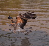 Litchfield and Jumping Crocodiles Full Day Trip from Darwin - Palm Beach Accommodation