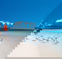 Margaret River and Geographe Bay Region Day Trip from Perth - Palm Beach Accommodation