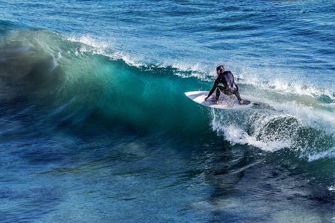 Great Ocean Road Highlights Tour - 2 Days, 1 Night - Palm Beach Accommodation 0
