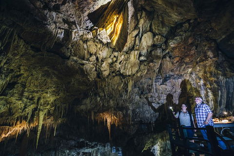 Ngilgi Cave Semi-guided Tour - Palm Beach Accommodation 0
