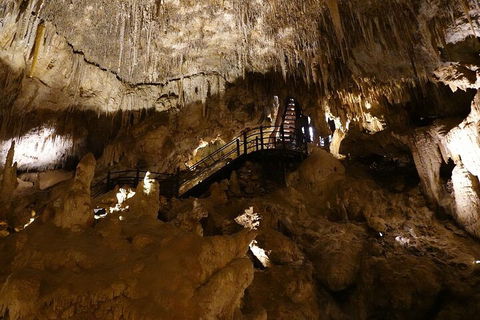 Ngilgi Cave Semi-guided Tour - Palm Beach Accommodation 2