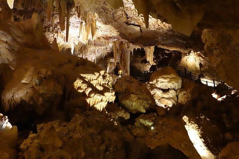 Ngilgi Cave Semi-guided Tour - Palm Beach Accommodation 3