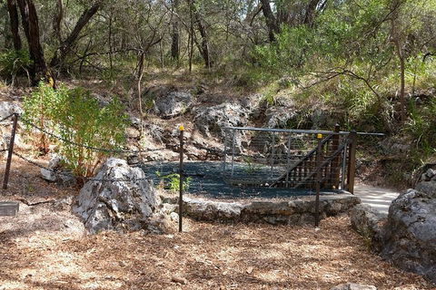 Ngilgi Cave Semi-guided Tour - Palm Beach Accommodation 4