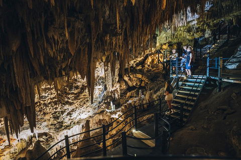 Ngilgi Cave Semi-guided Tour - Palm Beach Accommodation 5