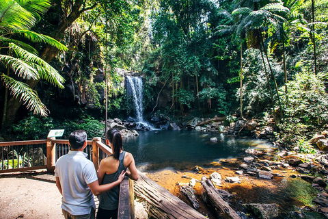 Aquaduck & Your Choice Of Gold Coast Rainforest Tour - Palm Beach Accommodation 0