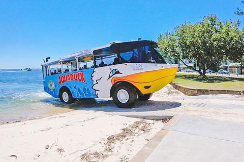 Aquaduck & Your Choice Of Gold Coast Rainforest Tour - Palm Beach Accommodation 1