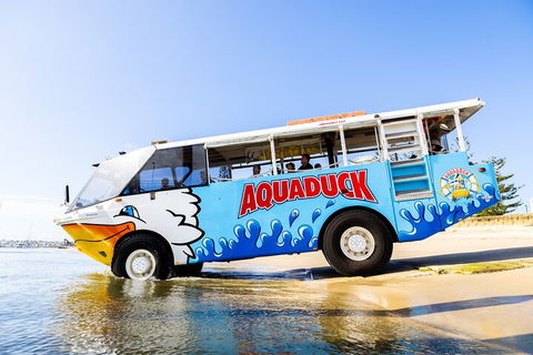 Aquaduck & Your Choice Of Gold Coast Rainforest Tour - Palm Beach Accommodation 3