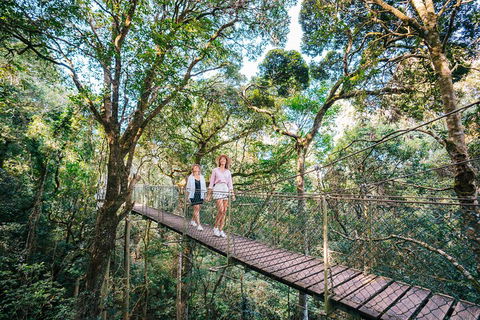 Aquaduck & Your Choice Of Gold Coast Rainforest Tour - Palm Beach Accommodation 4