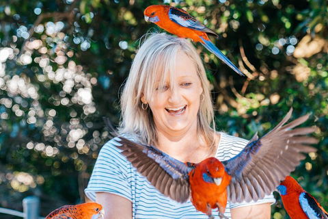 Aquaduck & Your Choice Of Gold Coast Rainforest Tour - Palm Beach Accommodation 5