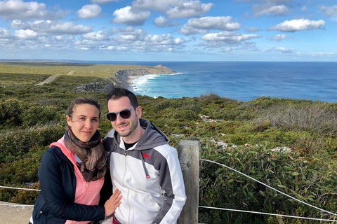 Kangaroo Island 4WD Tour - Flinders Chase - Palm Beach Accommodation 1
