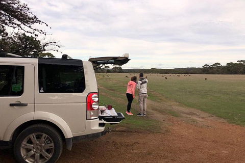 Kangaroo Island 4WD Tour - Flinders Chase - Palm Beach Accommodation 3