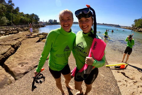 Manly Snorkel Trip And Nature Walk With Local Guide - Palm Beach Accommodation 1