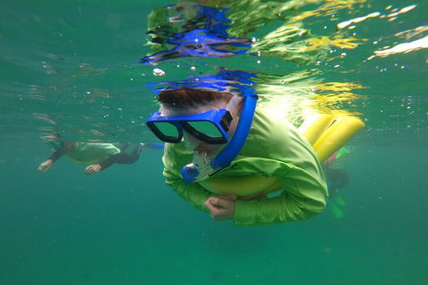 Manly Snorkel Trip And Nature Walk With Local Guide - Palm Beach Accommodation 5