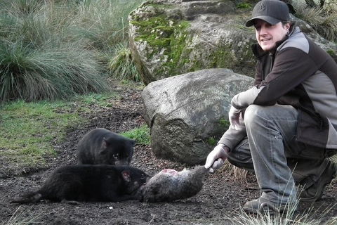 After Dark Tasmanian Devil Feeding Tour At Cradle Mountain - Palm Beach Accommodation 2