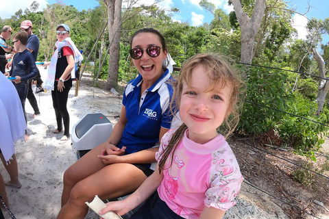 Whitehaven Beach Day Tour With Snorkel In Whitsundays Island - Palm Beach Accommodation 1