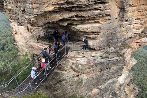 PJ Blue Mountains Supreme Day Tour - Palm Beach Accommodation 0