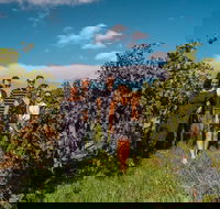 Barossa Valley Private Tour from 2 to 11 people - Palm Beach Accommodation