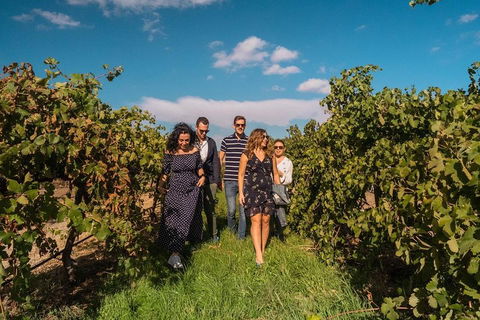 Barossa Valley Private Tour (from 2 To 11 People) - Palm Beach Accommodation 0