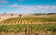 Barossa Valley Private Tour (from 2 To 11 People) - thumb 2