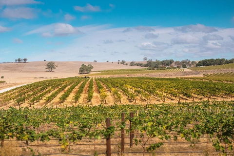 Barossa Valley Private Tour (from 2 To 11 People) - Palm Beach Accommodation 2