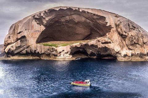 Wilsons Promontory Wilderness Cruise From Tidal River - Palm Beach Accommodation 0