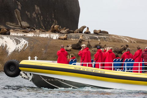 Wilsons Promontory Wilderness Cruise From Tidal River - Palm Beach Accommodation 1
