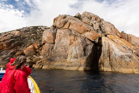 Wilsons Promontory Wilderness Cruise From Tidal River - Palm Beach Accommodation 3
