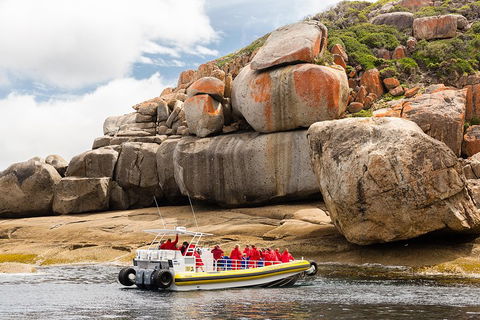 Wilsons Promontory Wilderness Cruise From Tidal River - Palm Beach Accommodation 4