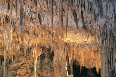 Margaret River, Caves, Wine And Cape Leeuwin Lighthouse Tour From Perth - Palm Beach Accommodation 3