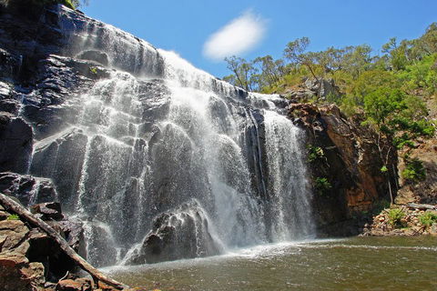 Grampians National Park Small-Group Eco Tour From Melbourne - Palm Beach Accommodation 0