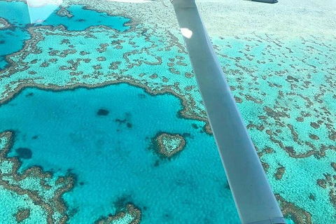 Whitsunday Islands 1-Hour Reef Scenic Helicopter Tour - Palm Beach Accommodation 3