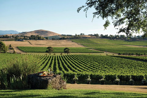Small Group 6 Guests: Ultimate Yarra Valley Food And Wine - Mercedes Van - Palm Beach Accommodation 4