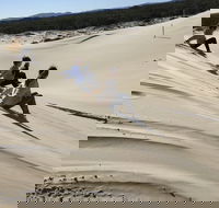 Port Stephens Bush Beach and Sand Dune 4WD Tag-Along Tour - Palm Beach Accommodation