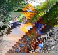 Cape Tribulation Daintree Rainforest and Wildlife Tour - Palm Beach Accommodation