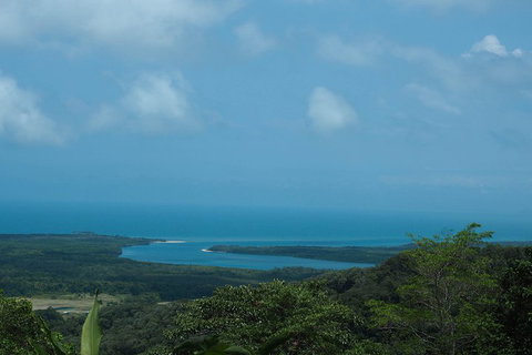 Cape Tribulation, Daintree Rainforest And Wildlife Tour - Palm Beach Accommodation 1