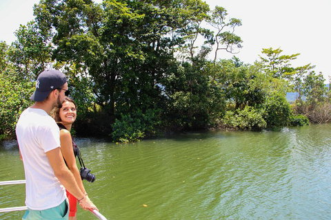 Cape Tribulation, Daintree Rainforest And Wildlife Tour - Palm Beach Accommodation 2