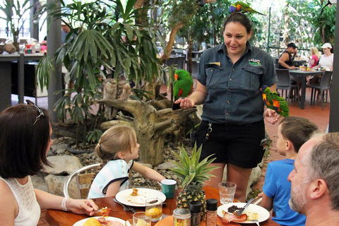 Wildlife Habitat Port Douglas - Palm Beach Accommodation 2