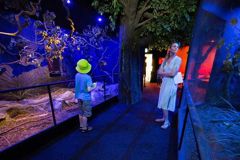 Wildlife Habitat Port Douglas - Palm Beach Accommodation 4