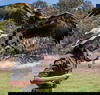 One Day Kangaroo Island Sip  See tour with return ferry transfers from Adelaide - Palm Beach Accommodation