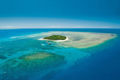 Cairns City Sights And Surrounds Tour - Palm Beach Accommodation 0